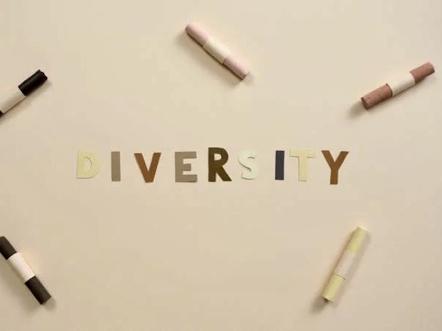 Diversitytraining24